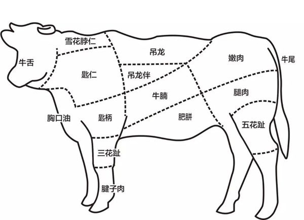 冷凍牛肉進口報關需注意的操作細節(jié)